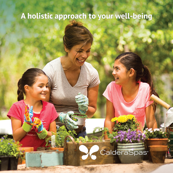 A Holistic Approach Wall Graphic